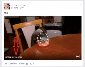 Download GIF from Facebook 