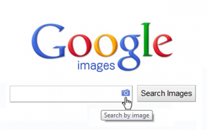 Reverse Image Search 