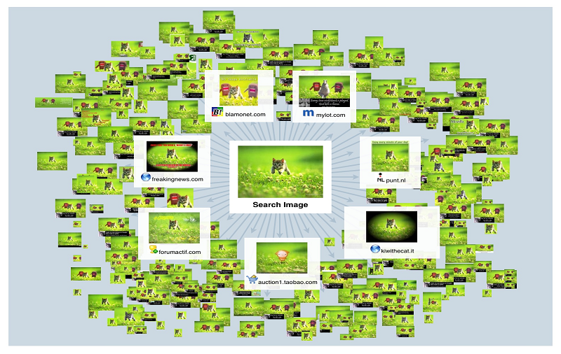 How to Use TinEye to Perform a Reverse Image Search Mobile Updates