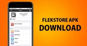 FlekStore