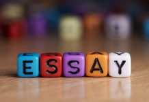 What You Need to Know About Essay