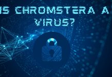 Is Chromstera a Virus