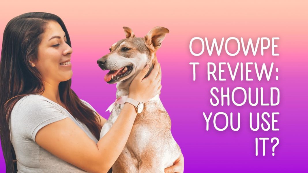 Owowpet Review