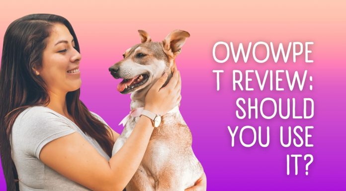 Owowpet Review