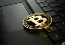 5 Cryptocurrency Tips You Need to Hear in 2024 Cryptocurrency