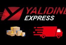 What is Yalidine App: Everything to Know About It Yalidine App